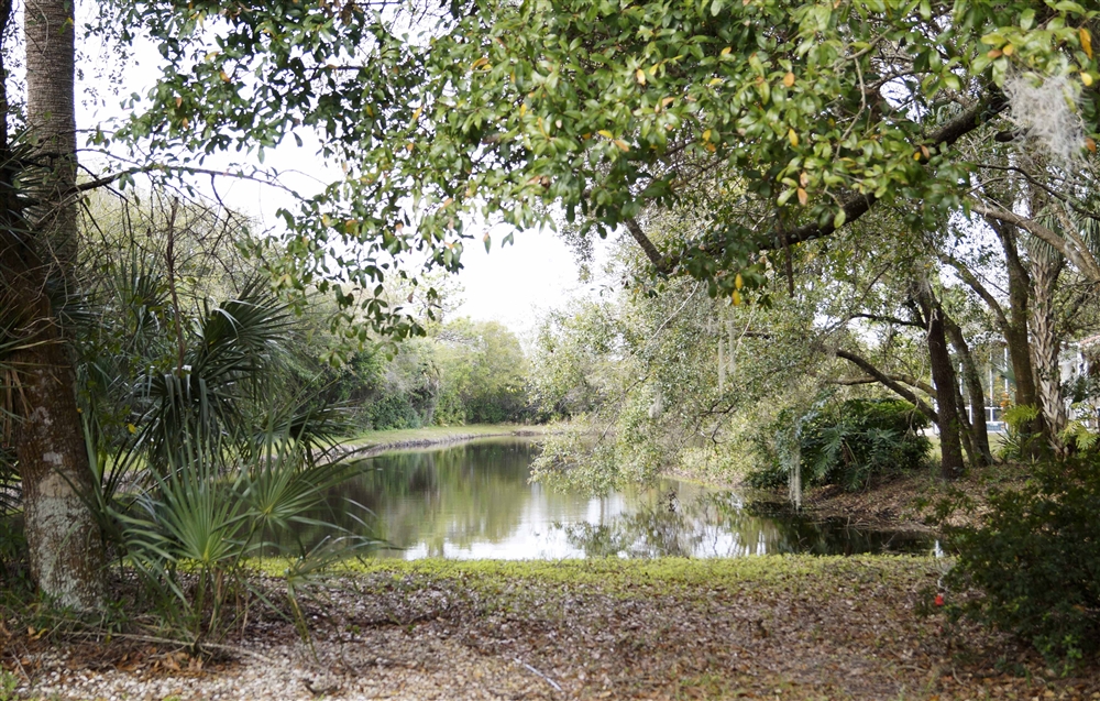 Market Snapshot Oyster Creek Golf & CC, Englewood Photo Galleries